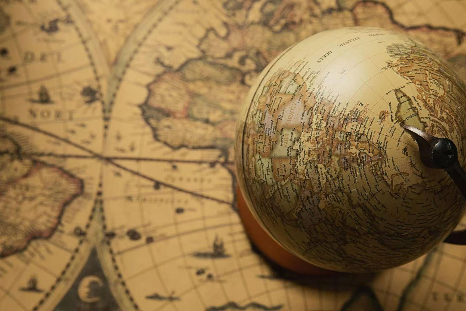 Global Logistics Network